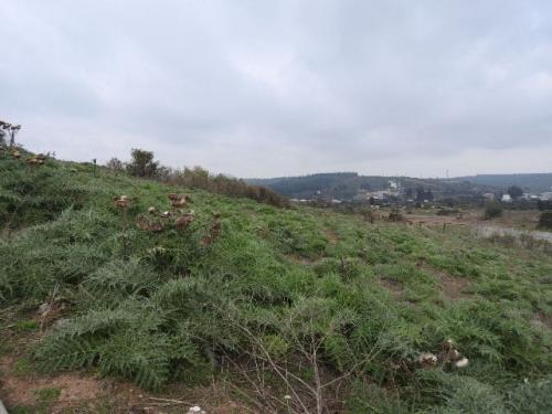 DSCN3692
